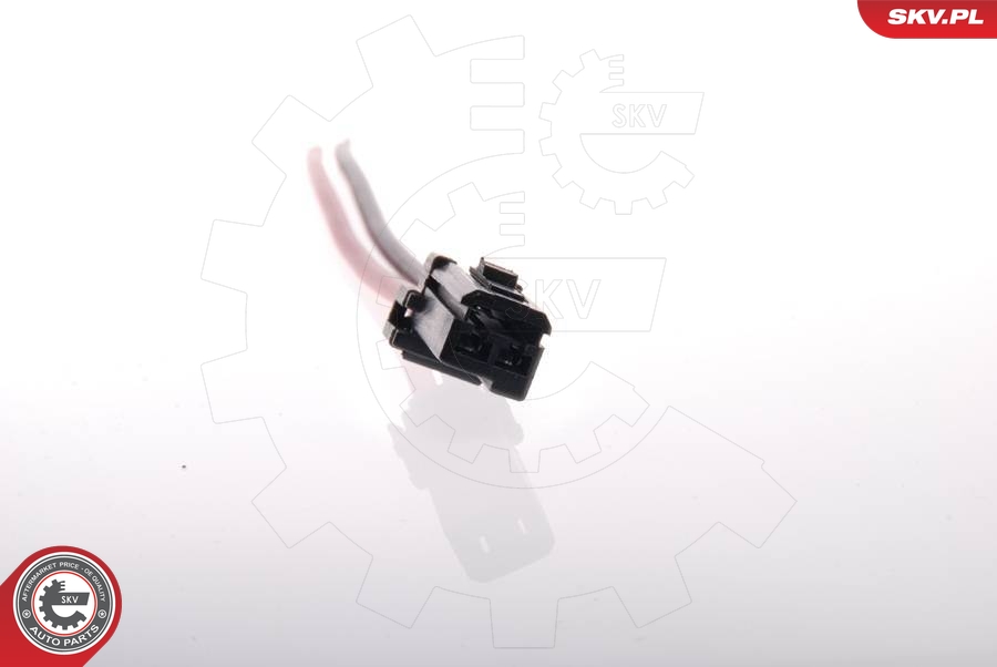 ESEN SKV 02SKV204 Fuel Pump