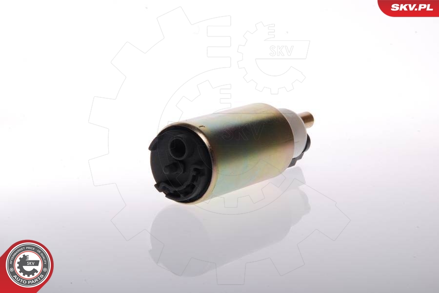 ESEN SKV 02SKV205 Fuel Pump