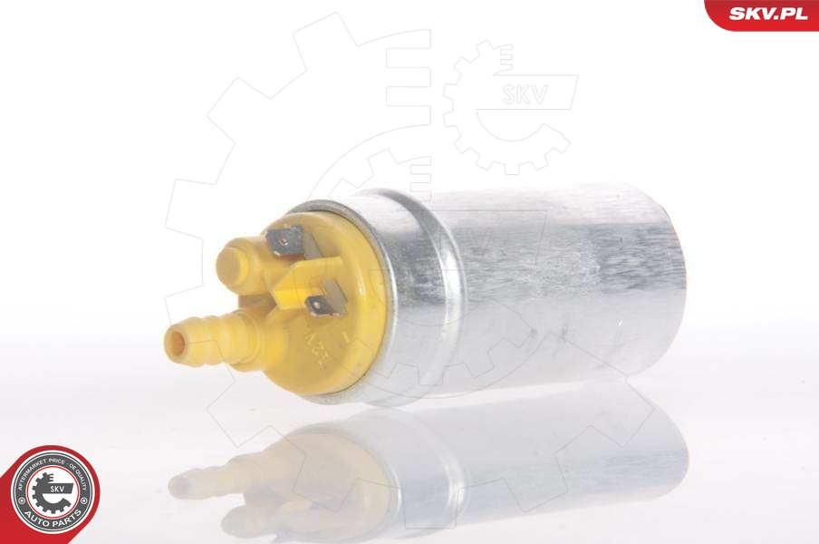 ESEN SKV 02SKV229 Fuel Pump