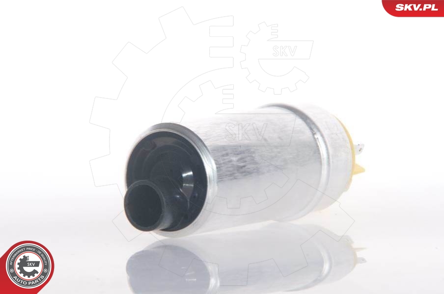 ESEN SKV 02SKV229 Fuel Pump