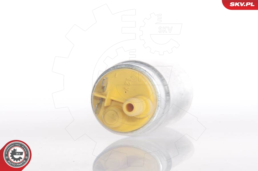 ESEN SKV 02SKV229 Fuel Pump