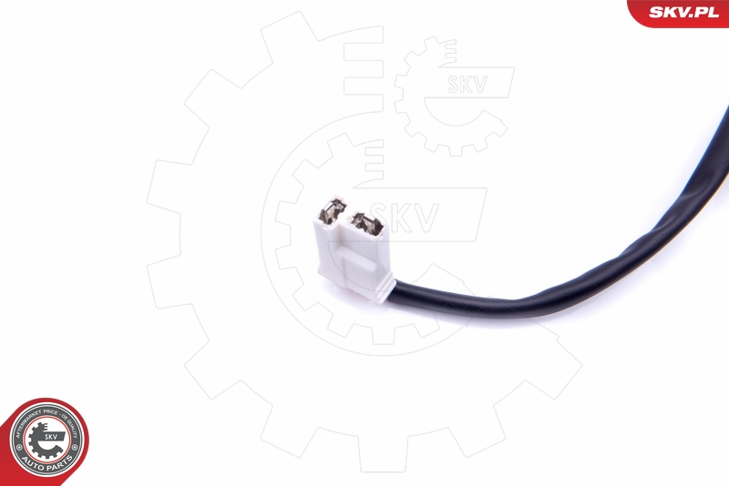 ESEN SKV 02SKV791 Drivstoffpumpe