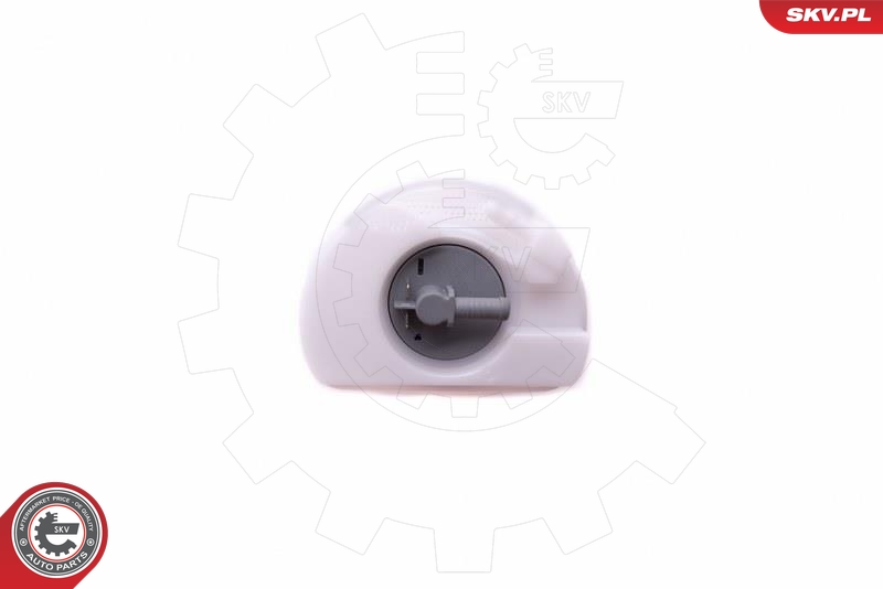 ESEN SKV 02SKV807 Drivstoffpumpe