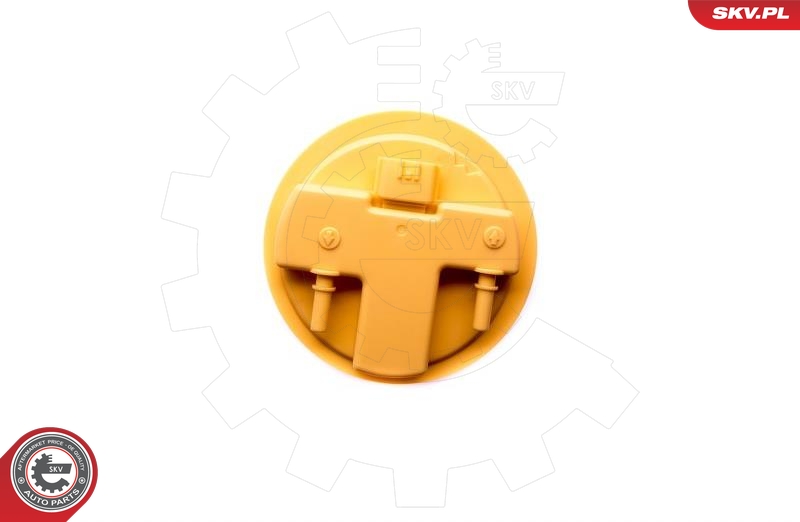 ESEN SKV 02SKV809 Drivstoffpumpe