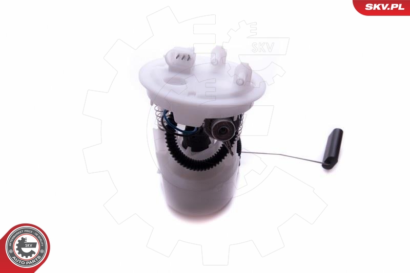 ESEN SKV 02SKV843 Drivstoffpumpe