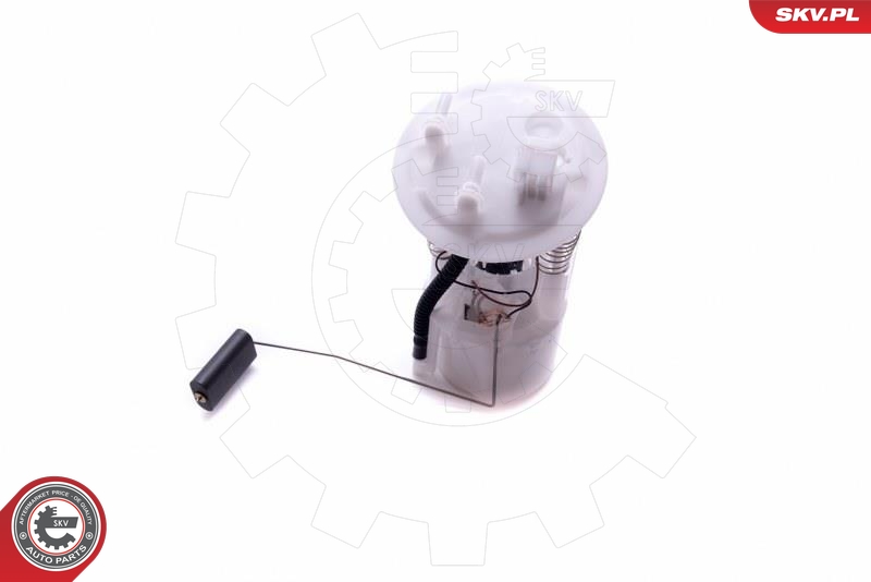 ESEN SKV 02SKV843 Drivstoffpumpe