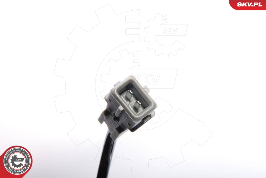 DELPHI SS20554 Sensor, ABS