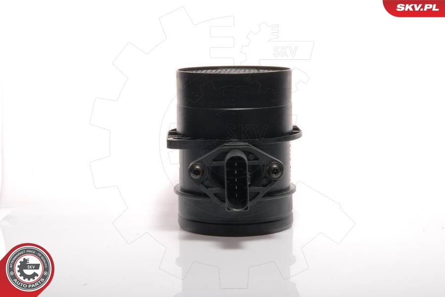 DELPHI AF10251-12B1 Luftmassemåler