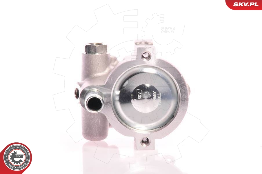 MAXGEAR 48-0173 Servopumpe