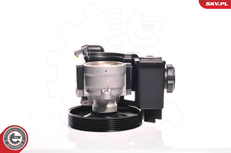 YSPARTS PW3915H Servopumpe
