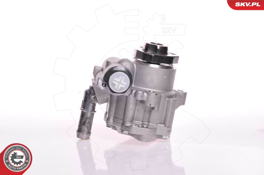 SASIC 7076080 Servopumpe