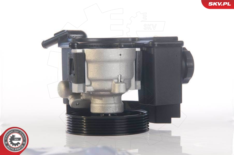 TRW JPR908 Servopumpe
