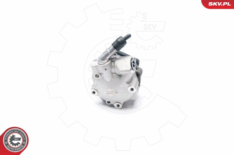 SASIC 7070012 Servopumpe