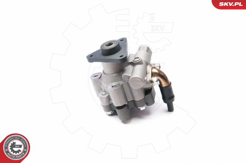 ESEN SKV 10SKV227 Servopumpe