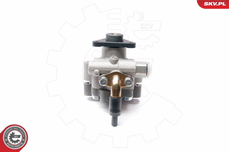 ESEN SKV 10SKV227 Servopumpe