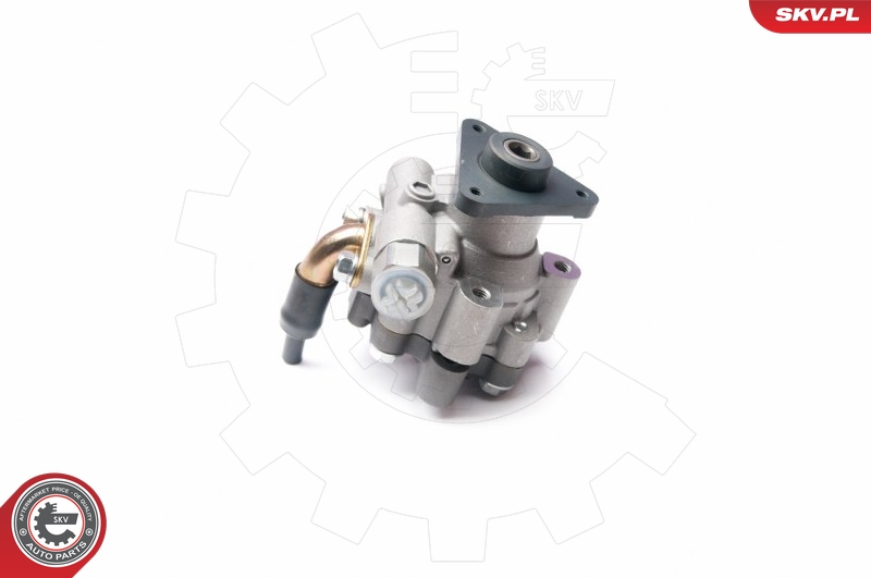 ESEN SKV 10SKV227 Servopumpe