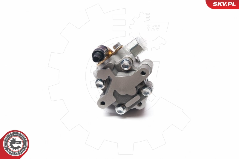 ESEN SKV 10SKV227 Servopumpe