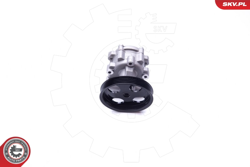 SASIC 7076034 Servopumpe