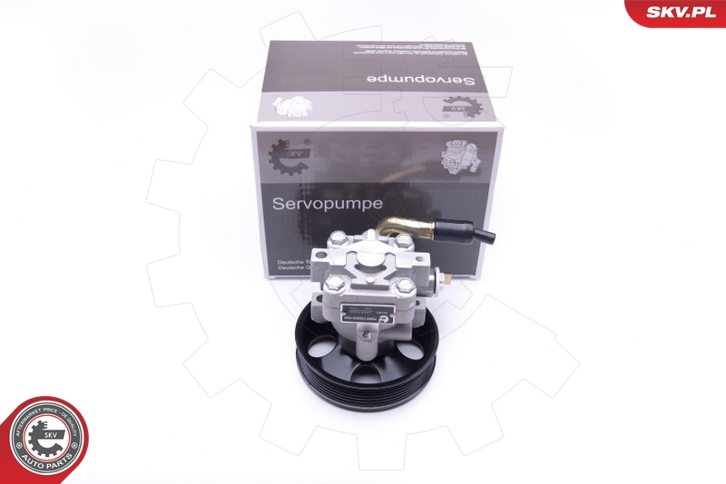 ESEN SKV 10SKV263 Servopumpe