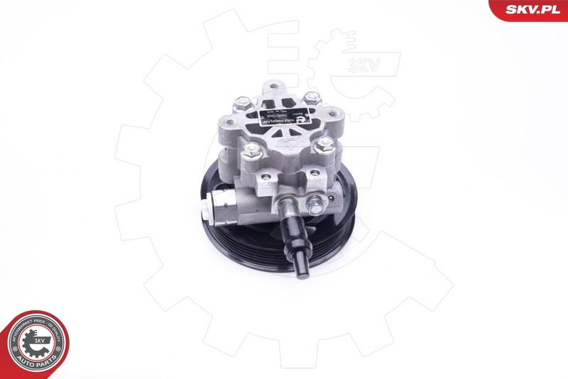 ESEN SKV 10SKV265 Servopumpe
