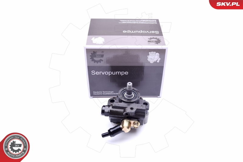 ESEN SKV 10SKV267 Servopumpe