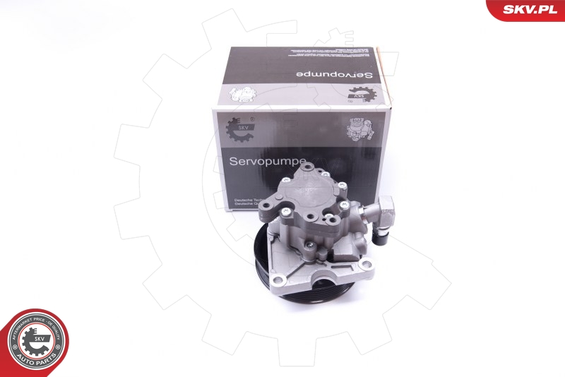 ESEN SKV 10SKV270 Servopumpe