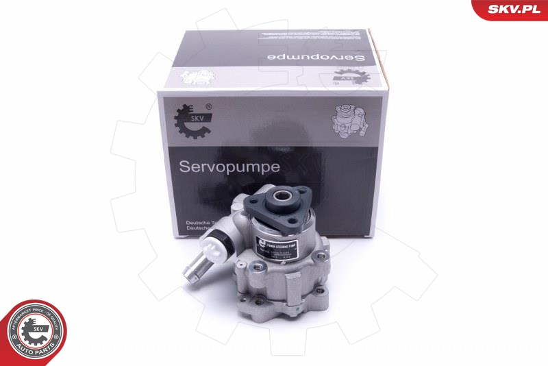 ESEN SKV 10SKV291 Servopumpe