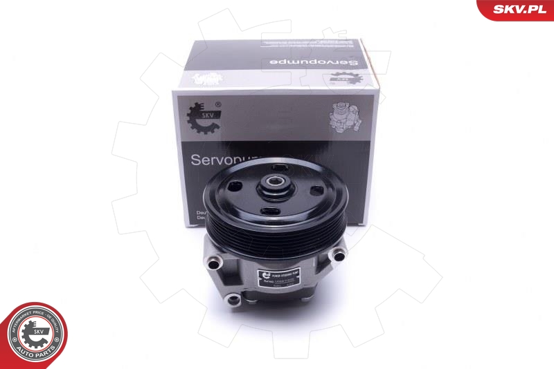 ESEN SKV 10SKV309 Servopumpe