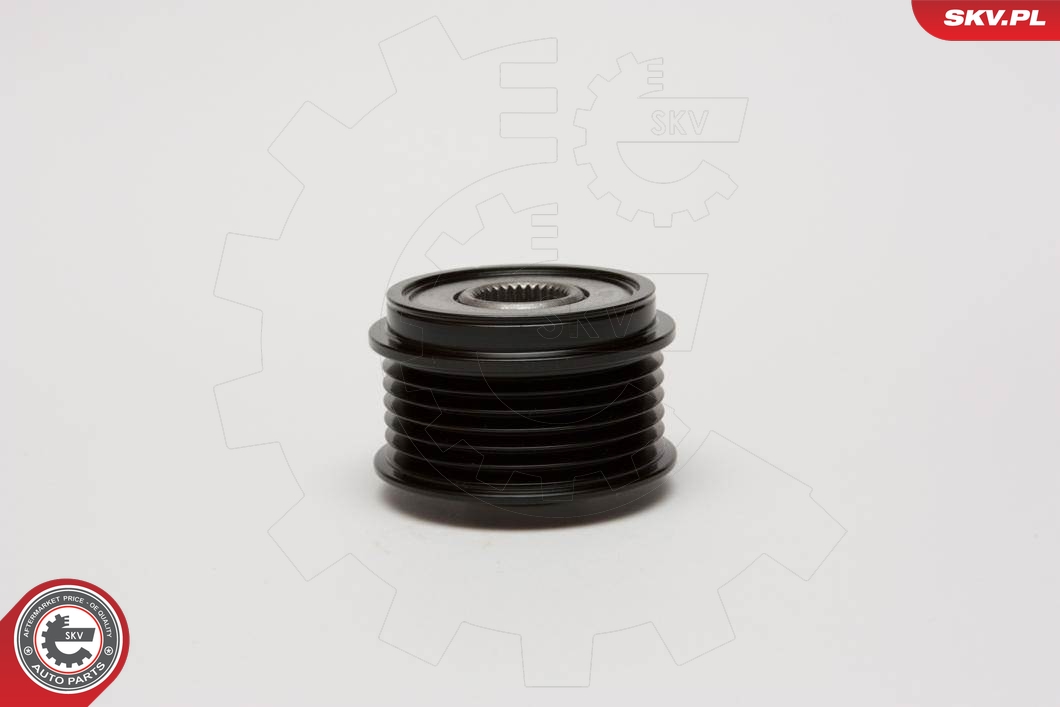 ESEN SKV 11SKV018 Generatortomgang