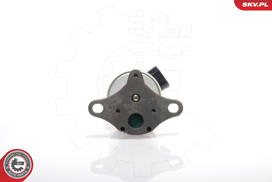 NISSENS 98387 EGR-ventil