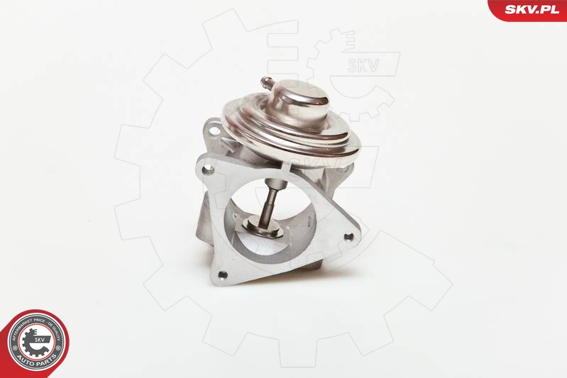 TRISCAN 8813 29056 EGR-ventil