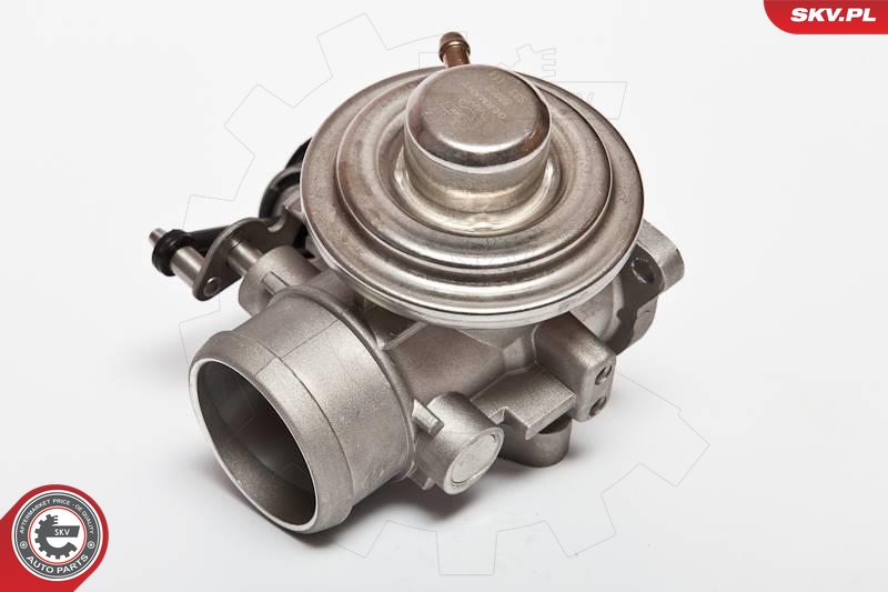ESEN SKV 14SKV020 EGR-ventil