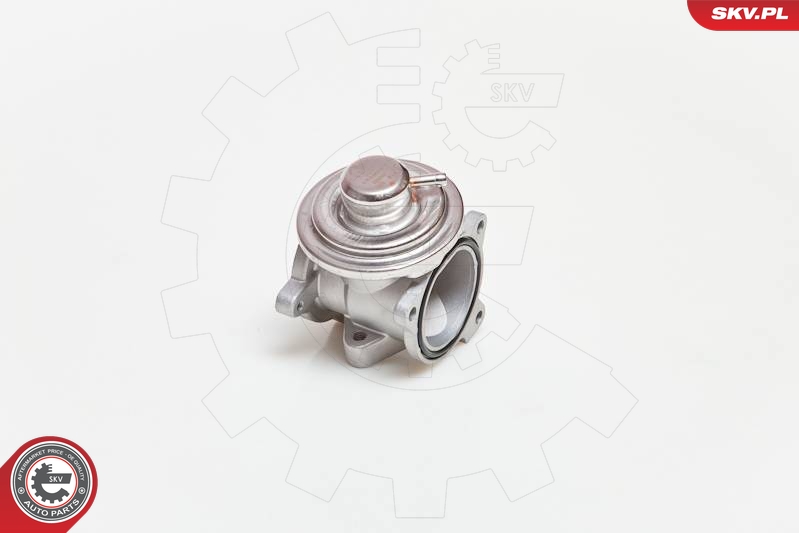 ESEN SKV 14SKV034 EGR-ventil