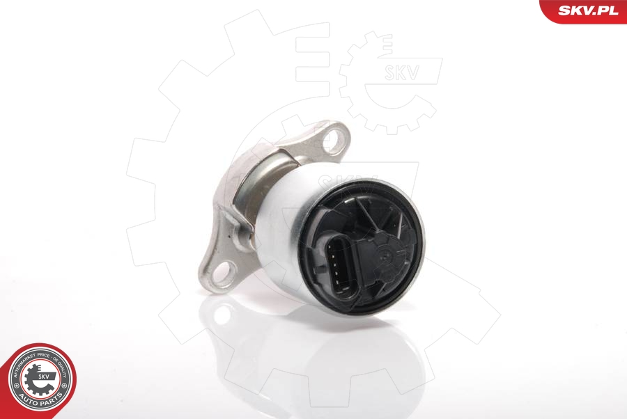WAHLER 711032D/1 EGR-ventil