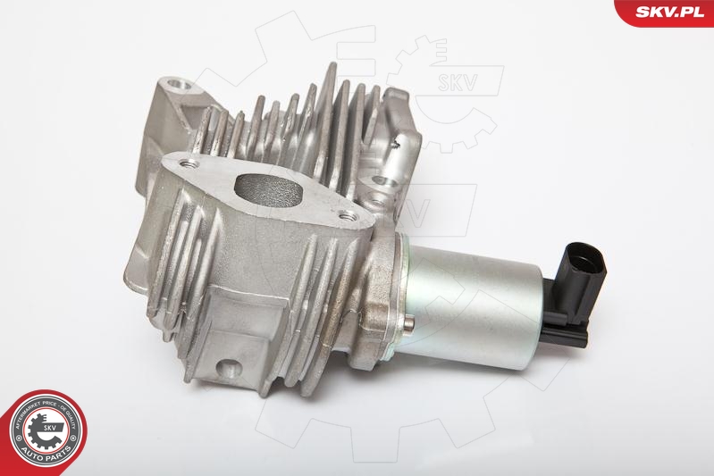 ESEN SKV 14SKV036 EGR-ventil