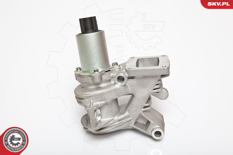 ESEN SKV 14SKV036 EGR-ventil
