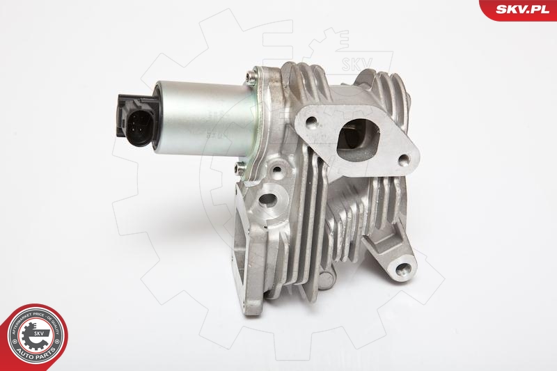 ESEN SKV 14SKV036 EGR-ventil