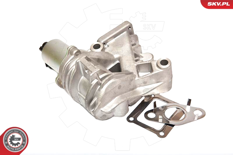 ESEN SKV 14SKV036 EGR-ventil