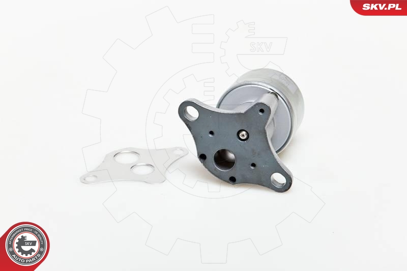 ESEN SKV 14SKV037 EGR-ventil