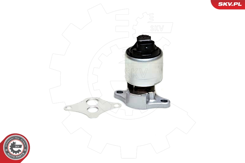 ESEN SKV 14SKV037 EGR-ventil