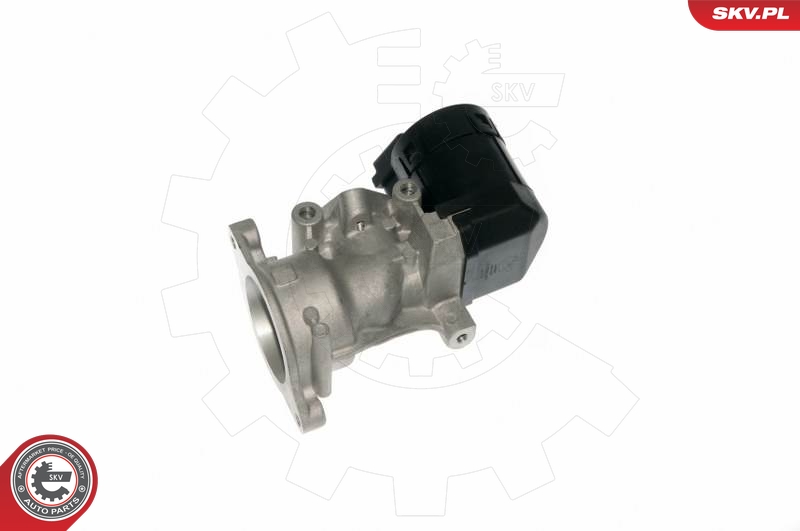ESEN SKV 14SKV057 EGR-ventil