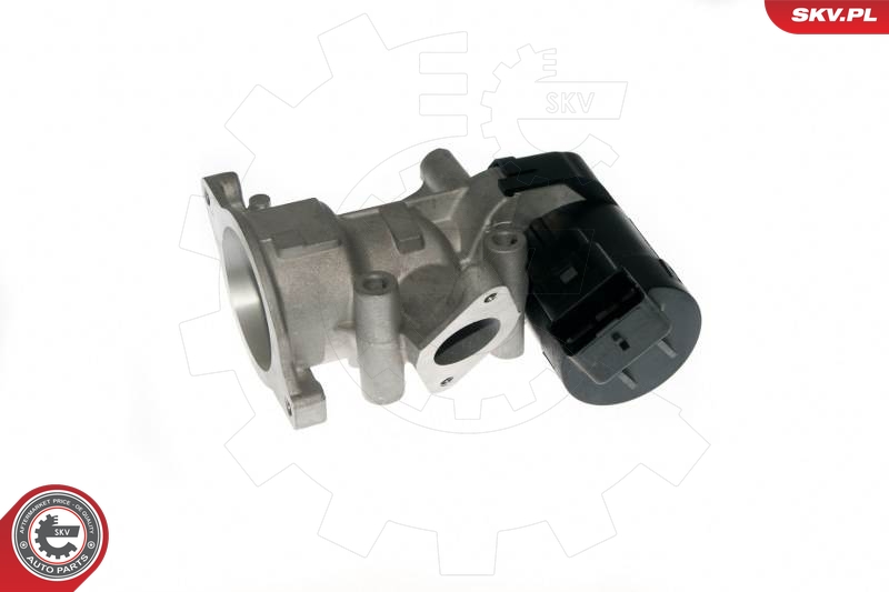 ESEN SKV 14SKV057 EGR-ventil