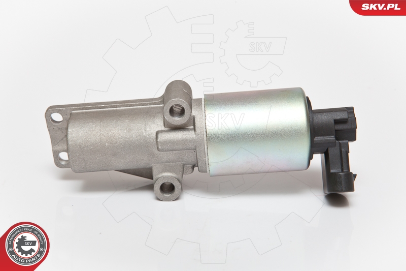 ESEN SKV 14SKV065 EGR-ventil