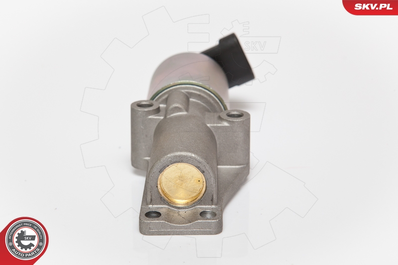 ESEN SKV 14SKV065 EGR-ventil