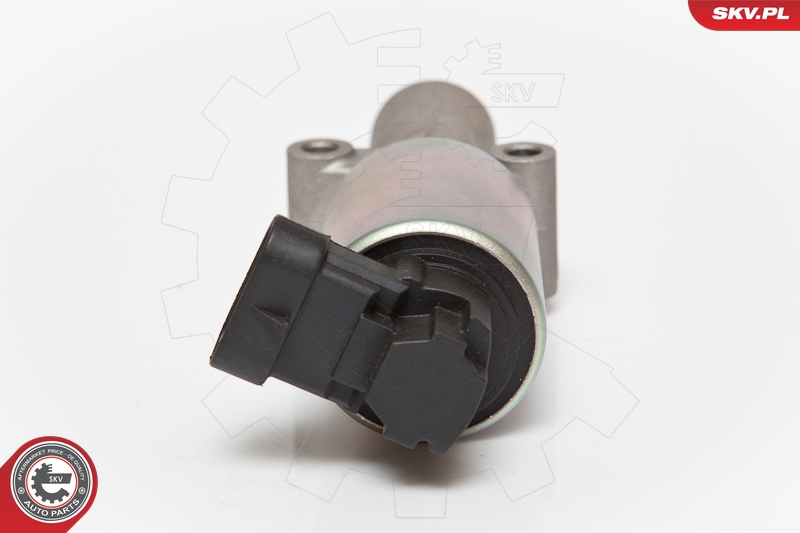 ESEN SKV 14SKV065 EGR-ventil