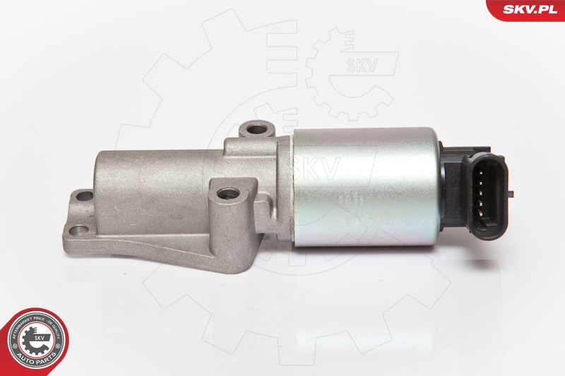 ESEN SKV 14SKV065 EGR-ventil