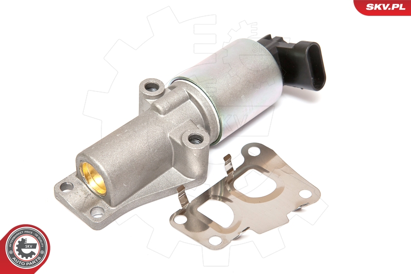 ESEN SKV 14SKV065 EGR-ventil