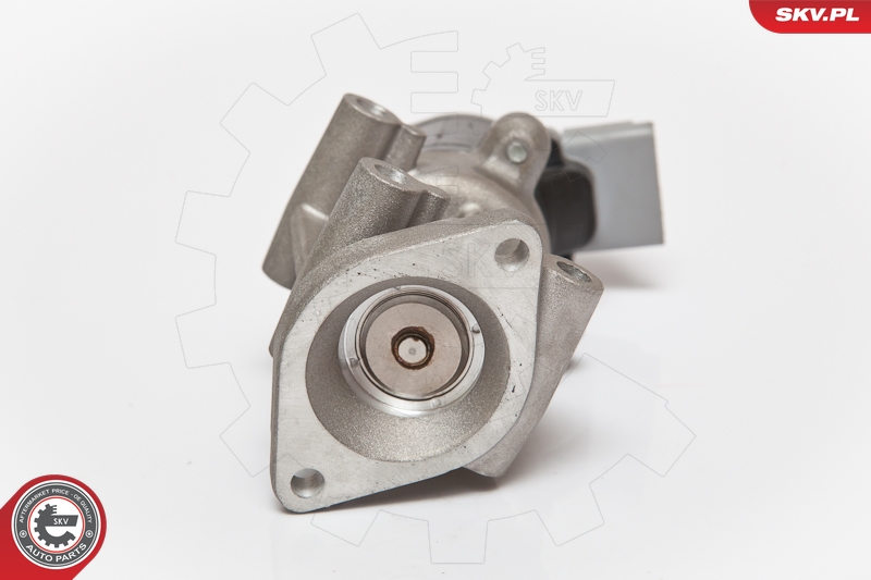 ESEN SKV 14SKV066 EGR-ventil