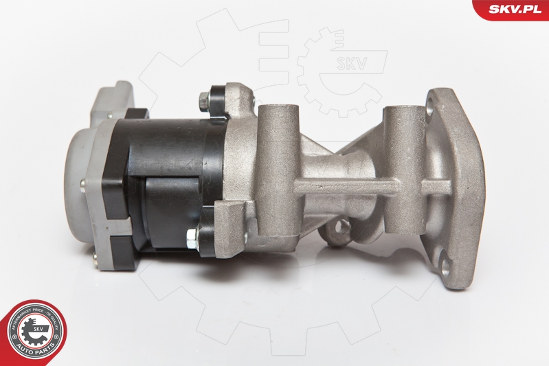 ESEN SKV 14SKV066 EGR-ventil