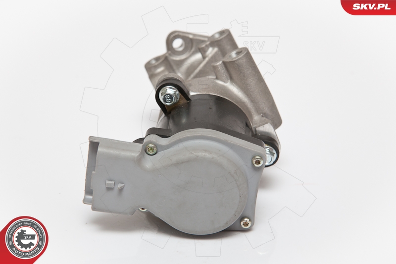 ESEN SKV 14SKV066 EGR-ventil